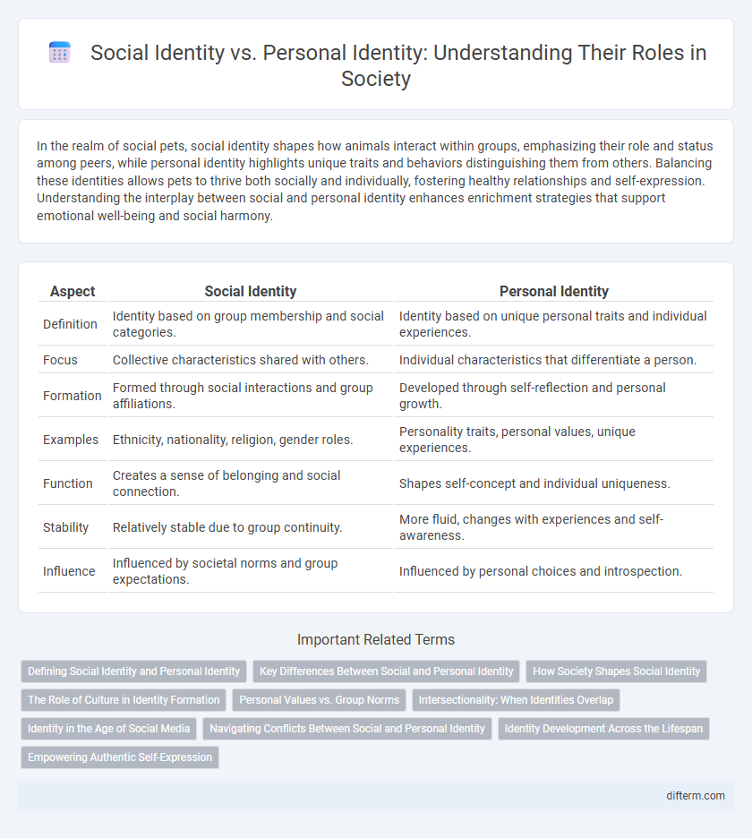 Social Identity vs. Personal Identity: Understanding Their Roles in Society