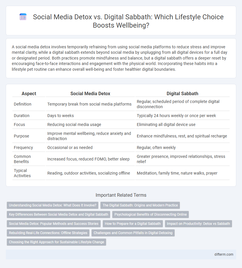 Social Media Detox vs. Digital Sabbath: Which Lifestyle Choice Boosts Wellbeing?