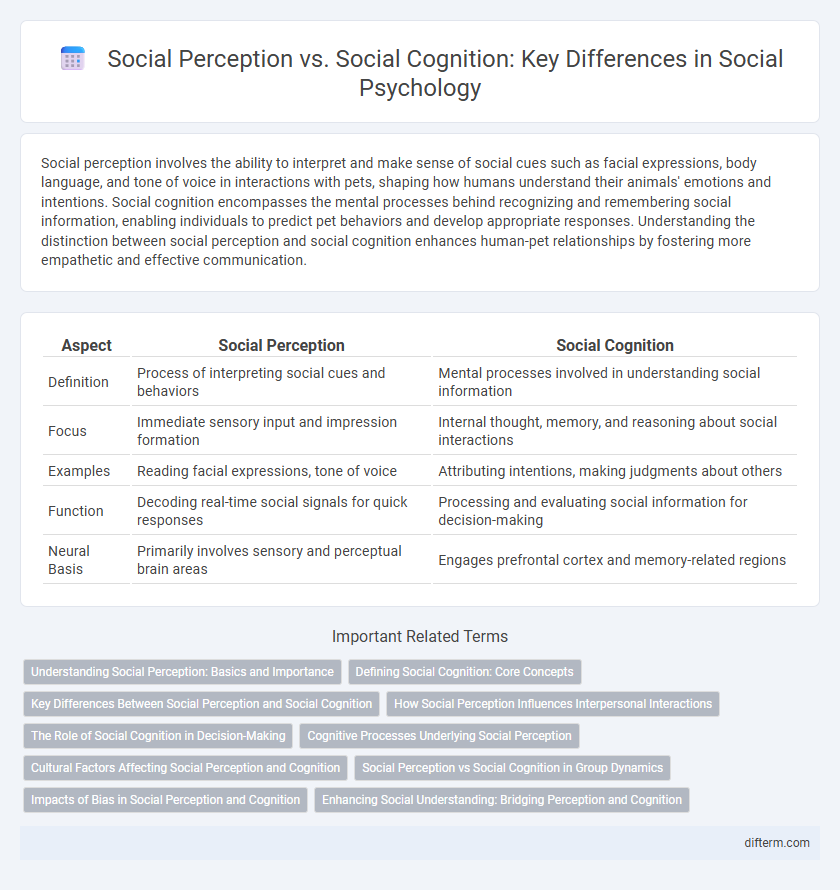Social Perception vs. Social Cognition: Key Differences in Social Psychology