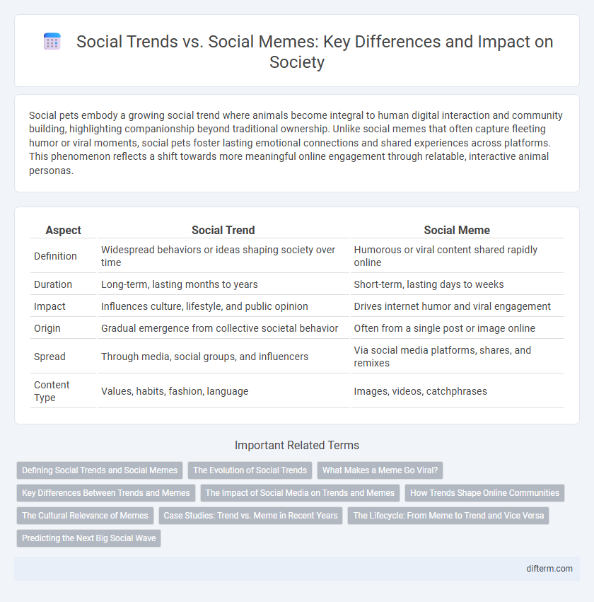 Social Trends vs. Social Memes: Key Differences and Impact on Society