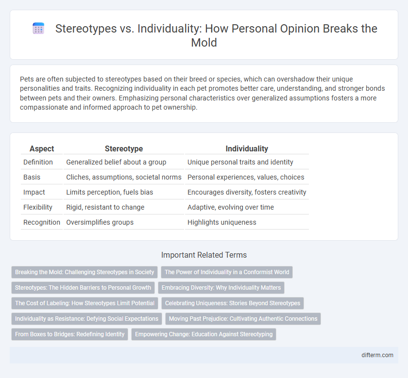 Stereotypes vs. Individuality: How Personal Opinion Breaks the Mold