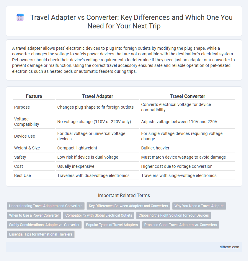 Travel Adapter vs Converter: Key Differences and Which One You Need for Your Next Trip