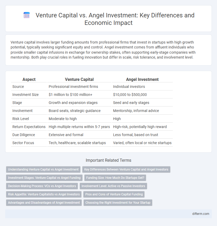Venture Capital vs. Angel Investment: Key Differences and Economic Impact
