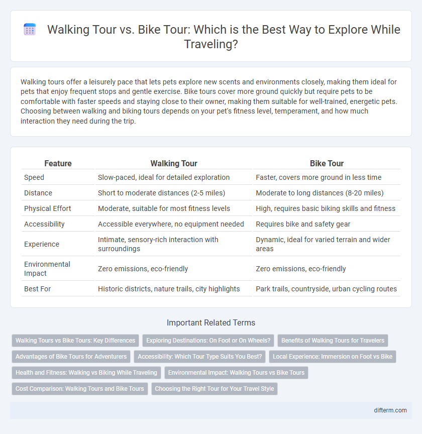 Walking Tour vs. Bike Tour: Which is the Best Way to Explore While Traveling?